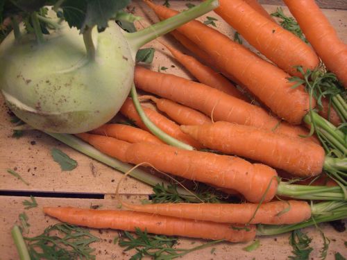 Karotten und Kolrabi